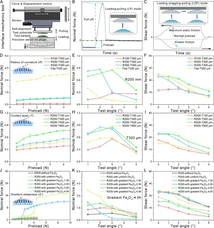 1765420601291697.jpg 微信圖片_2025-12-11_102225_765.jpg