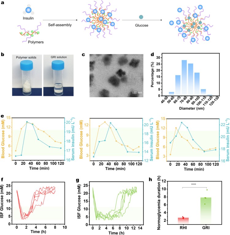 1769564564165563.jpg 微信圖片_2026-01-28_094040_081.jpg